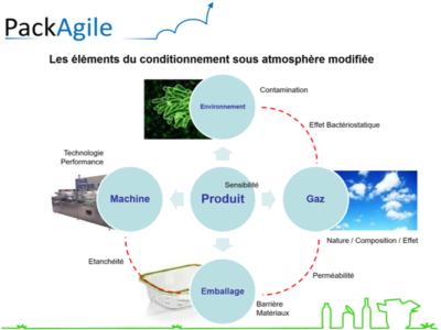 Maitriser le conditionnement sous atmosphère modifiée